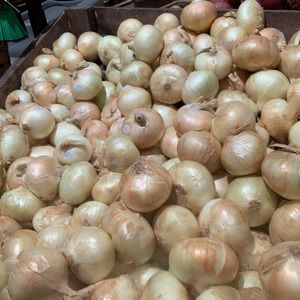 Meet your Posher, Mahmoud